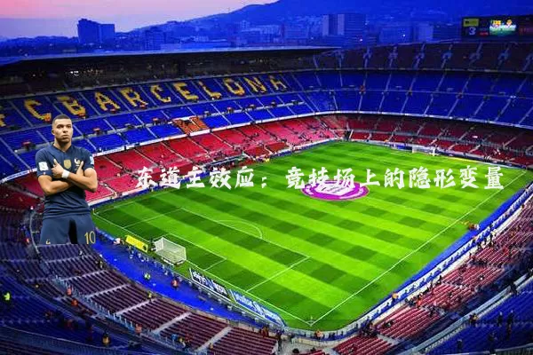 东道主效应：竞技场上的隐形变量